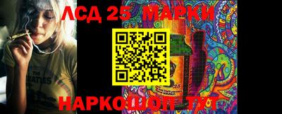 дмт Тара