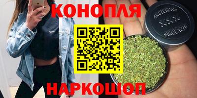 дмт Тара